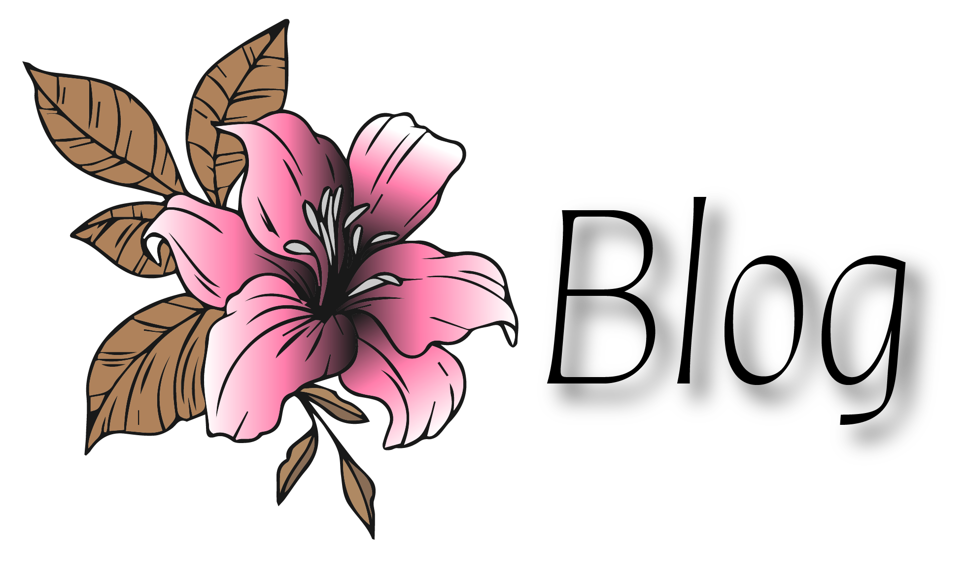 Blog